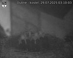 Capi_Dubne_20250729_031003.jpg