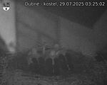 Capi_Dubne_20250729_032502.jpg