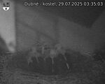 Capi_Dubne_20250729_033503.jpg