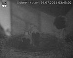 Capi_Dubne_20250729_034502.jpg