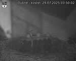 Capi_Dubne_20250729_035002.jpg