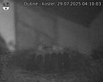 Capi_Dubne_20250729_041003.jpg