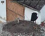 Capi_Dubne_20250729_092004.jpg