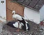Capi_Dubne_20250729_103003.jpg
