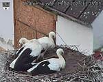 Capi_Dubne_20250729_112503.jpg