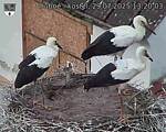 Capi_Dubne_20250729_132003.jpg