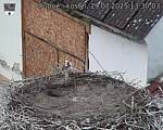 Capi_Dubne_20250729_133003.jpg