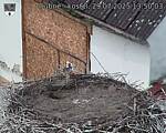 Capi_Dubne_20250729_135003.jpg