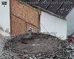 Capi_Dubne_20250729_140004.jpg