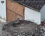 Capi_Dubne_20250729_140504.jpg