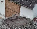 Capi_Dubne_20250729_142503.jpg