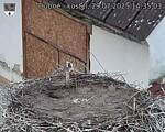 Capi_Dubne_20250729_143503.jpg