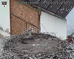 Capi_Dubne_20250729_144003.jpg