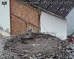 Capi_Dubne_20250729_144504.jpg