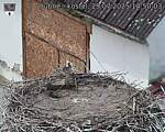 Capi_Dubne_20250729_145003.jpg