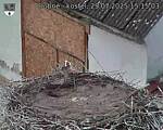 Capi_Dubne_20250729_151503.jpg