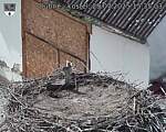 Capi_Dubne_20250729_153503.jpg