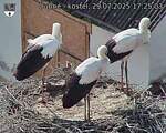 Capi_Dubne_20250729_172503.jpg