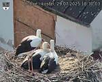 Capi_Dubne_20250729_183003.jpg