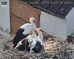 Capi_Dubne_20250729_184003.jpg