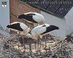 Capi_Dubne_20250729_190503.jpg