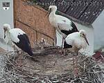 Capi_Dubne_20250729_192003.jpg