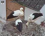 Capi_Dubne_20250729_200502.jpg
