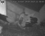Capi_Dubne_20250729_213003.jpg