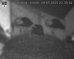 Capi_Dubne_20250729_213503.jpg
