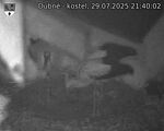 Capi_Dubne_20250729_214002.jpg
