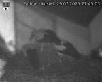 Capi_Dubne_20250729_214503.jpg