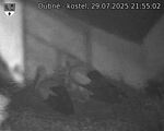 Capi_Dubne_20250729_215502.jpg