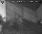 Capi_Dubne_20250729_220002.jpg