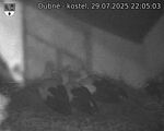 Capi_Dubne_20250729_220503.jpg