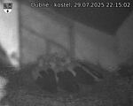 Capi_Dubne_20250729_221502.jpg