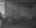 Capi_Dubne_20250729_232503.jpg