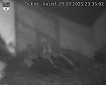 Capi_Dubne_20250729_233502.jpg