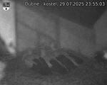 Capi_Dubne_20250729_235503.jpg