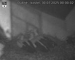 Capi_Dubne_20250730_000002.jpg