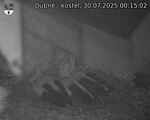 Capi_Dubne_20250730_001502.jpg