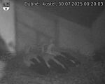 Capi_Dubne_20250730_002003.jpg