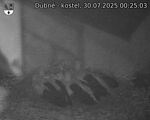 Capi_Dubne_20250730_002503.jpg
