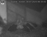 Capi_Dubne_20250730_003502.jpg