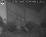 Capi_Dubne_20250730_004003.jpg