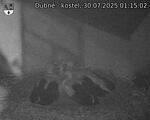 Capi_Dubne_20250730_011503.jpg