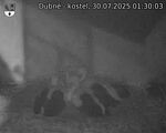 Capi_Dubne_20250730_013003.jpg