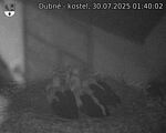 Capi_Dubne_20250730_014002.jpg