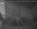 Capi_Dubne_20250730_014503.jpg