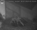 Capi_Dubne_20250730_015503.jpg