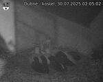 Capi_Dubne_20250730_020502.jpg